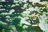 Aerial View Of Carrageenan Seaweed On The Bukit Peninsula Of Bali; Bali,Indonesia