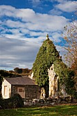 Kloster Hulne Park; Northumberland, England