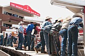 Cowboys Watching The Calgary Stampede Rodeo, Calgary, Alberta, Canada