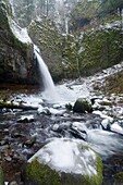 Ponytail Falls Im Winter, Columbia River Gorge, Oregon, Usa
