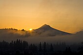 Mount Hood In A Foggy Sunrise From Powell Butte, Portland, Oregon, United States Of America