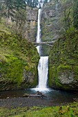Multnomah Falls In Spring, Columbia River Gorge, Oregon, Usa
