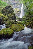 Elowah Falls, Columbia River Gorge, Oregon, Usa