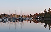 Segelboote, Vancouver, Britisch-Kolumbien, Kanada