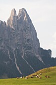Seis am Schlern, Südtirol, Italien