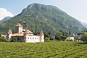 Bolzano, Alto Adige, Italy; Castle In A Vineyard