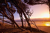 Moolack Beach, Oregon, Vereinigte Staaten Von Amercia; Sonnenuntergang am Strand