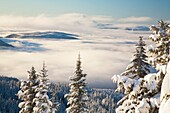 Winter Landscape With Clouds And Snow-Covered Trees; Oregon,Usa