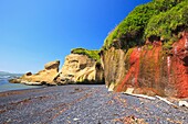 Depoe Bay, Oregon, United States Of America; Low Tide And Arch Rock