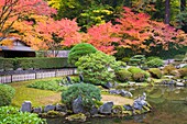 Portland, Oregon, Vereinigte Staaten Von Amerika; Portland Japanischer Garten Im Herbst