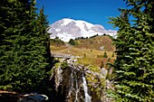 Mount Rainier National Park, Washington, United States Of America; Edith Creek And Mount Rainier