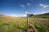 Elsdonburn, Northumberland, England; Ein Straßenschild entlang der Straße