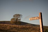 Northumberland, England; A Wooden Road Sign On A Post