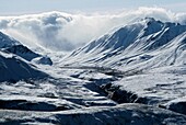 Ein aufkommender Sturm hinterlässt frischen Schnee auf den Ausläufern der Alaska Range; Denali National Park And Preserve, Alaska, USA