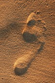 Footprint In Sand, Close Up