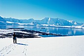 Tourist In Snow Overlooking Landscape Of Wiencke Island