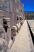 Köpfe im halb-unterirdischen Tempel von Tiahuanaco, Nahaufnahme