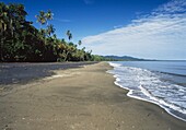 Beach At Puerta Vieja