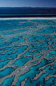 Blick über das klare blaue Wasser des Great Barrier Reefs
