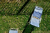 Striped Deckchairs On Grass With Autumn Leaves