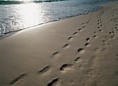Fußabdrücke im Sand auf rosa Strand mit Wellen plätschernden Ufer, Nahaufnahme
