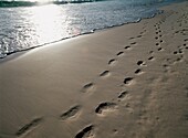 Footprints In The Sand On Pink Beach With Waves Lapping Shore, Close Up