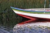 Bunt bemaltes Boot im Schilf des Titicacasees
