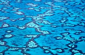 Great Barrier Reef, Luftaufnahme