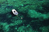 Boot vertäut im grünen Meer