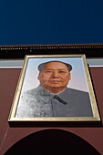 Porträt von Mao