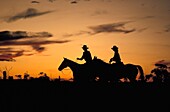 Silhouette von Menschen auf dem Pferderücken bei Sonnenuntergang