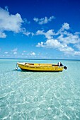 Lizard Island