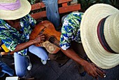 Two Musicians In Straw Hats Holding Guitar