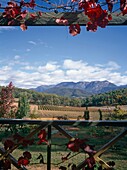 Veranda View Of Mount Buffalo With Vineyards