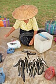 Frau verkauft Fisch auf dem lokalen Straßenmarkt