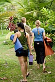 Zwei Frauen und ein Mann gehen mit Yogamatten durch den Regenwald