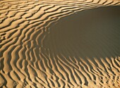 Ripples In Sand Dune, Close Up