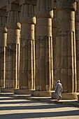 Temple Guard Walking Past Columns In Court Of Amenophis Iii