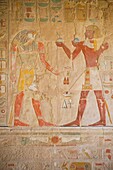 Paintings On Wall Of Mortuary Temple Of Hatshepsut Or Deir El-Bahri