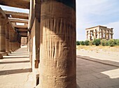 Column Of Temple, Close Up