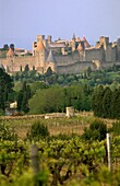 Fortified City Of Carcassonne And Vineyards