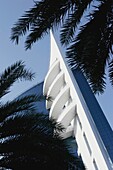 Modernes Gebäude und Palmen