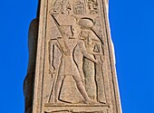 Carved Pillar At Karnak, Close Up