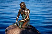 Die Statue der kleinen Meerjungfrau in Kopenhagen