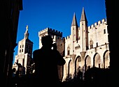 Man Taking Picture Of The Palais Des Papes And The Cathedrale Notre Dame Des Doms