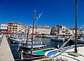 Sailboats In The Harbor In St Tropez