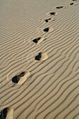 Fußabdrücke im Sand, Nahaufnahme