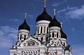 Nevsky Cathedral, Close Up