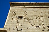 Carvings On Pylon At Temple Of Philae