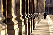 Jardin Du Palais Royal